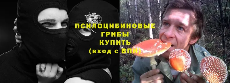 Галлюциногенные грибы MAGIC MUSHROOMS  Чегем 